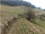 Zgornja Rečica (cerkev bl. Antona Martina Slomška) - Gozdnik