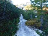 Planina Ravne - Veliki vrh (Veža)