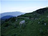 Planina Zapleč - Srednji vrh (pri Krnu)