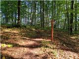 Dragonoš - Veliki Lovnik