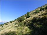 Planina Zapleč - Kal (greben Krnčice)