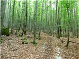 Kal-Koritnica - Lipnik (nad Lepeno)