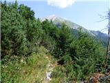 Soča - Vrh Ruš