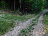 Raduha (Struge) - Cirkovnica