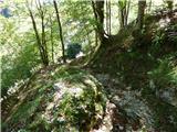 Tam na Meji (Beli potok) - Planina Nizki vrh