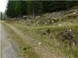 Parkirišče Hoyer (Neuhofgraben) - Lenzmoarkogel (Glinska planina / Gleinalpe)