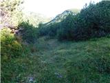 Lučka Bela (Za Loncem) - Kocbekov dom na Korošici