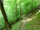 Planina Polog - Žlejžn