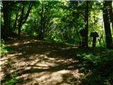 Žejno (Foto Ivanšek) - Sveti Vid (Šentviška gora)
