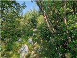 Crveni Vrh - Markovac