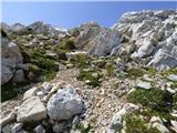 Bavšica - Bavški Grintavec