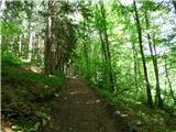 Jesenovo - Črni vrh (Čemšeniška planina)