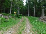 Glashütten (Gasthof Almwirt) - Glashüttenkogel