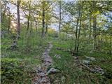 Jelova Ruja - Planinsko zavetišče Šugarska duliba 