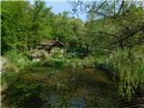 Breg - Sveti Lovrenc (nad vasjo Okroglice)