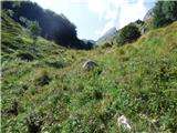 Žaga - Velika Baba (Kanin)