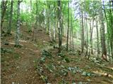 Kal-Koritnica - Lipnik (nad Lepeno)