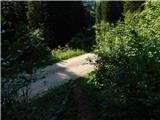 Smučišče Koralpe (Koralpenparkplatz) - Seespitz (Koralpe)