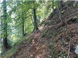 Log - Črni vrh