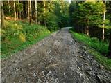 Spodnje Radvanje - Sveti Bolfenk (Mariborsko Pohorje)