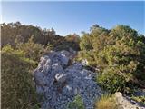 Ist - Straža (otok Ist)