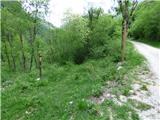 Planina Polog - Žlejžn