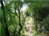 Žaga - Gulj