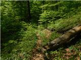 Gračnica - Sveti Lovrenc (nad vasjo Okroglice)
