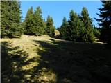 Parkirišče Hoyer (Neuhofgraben) - Lärchkogel (Glinska planina / Gleinalpe)