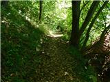 Lesično - Vina gora