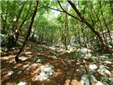 Hotel Boka - Planina Baban