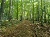 Stojdraga (Glažuta) - Tuščak (Žumberačka gora)