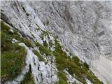 Zadnja Trenta (Flori) - Bavški Grintavec