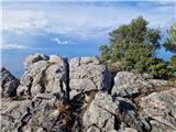 Babino Polje  - Veliki grad (otok Mljet)