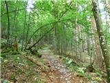 Kal-Koritnica - Lipnik (nad Lepeno)