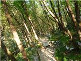 Hotel Boka - Planina Baban