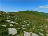 Oberfresen (Brendlwald) - Kleiner Frauenkogel (Golica / Koralpe)