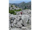 Pogled nazad
