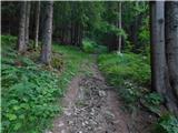 Raduha (Struge) - Cirkovnica
