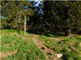 Glashütten - Hochalmhütte (Golica / Koralpe)