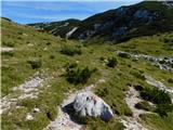 Lučka Bela (Za Loncem) - Vodotočno jezero (Veža)