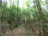 Kal-Koritnica - Lipnik (nad Lepeno)