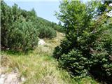 Soča - Vrh Ruš