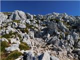 Dom v Kamniški Bistrici - Grintovec