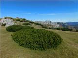 Hochstein (1741 m) in Windgrube (1809 m) Utrinek.