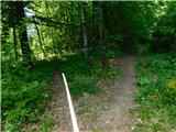 Žejno (Foto Ivanšek) - Sveti Vid (Šentviška gora)