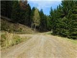 Parkirišče Hoyer (Neuhofgraben) - Lärchkogel (Glinska planina / Gleinalpe)