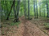 Stojdraga (Glažuta) - Tuščak (Žumberačka gora)