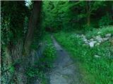 Zgornje Poljčane - Source of Topli (Studeniški) potok
