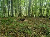 Tuščak (Žumberačka gora)